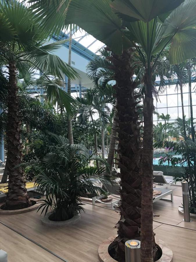 Grabska Osada - 100m Od Suntago Park-domki Ogrzewane Caloroczne Mszczonow